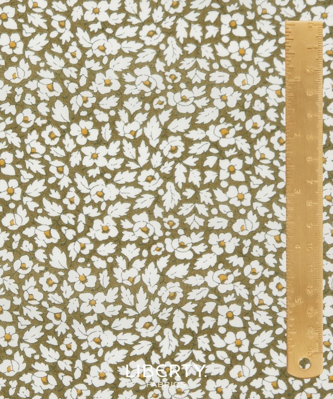 Liberty Tana Lawn Classic 24 Feather Meadow B