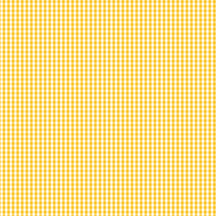 Devonstone Collections 1/8" Gingham Sunnyside