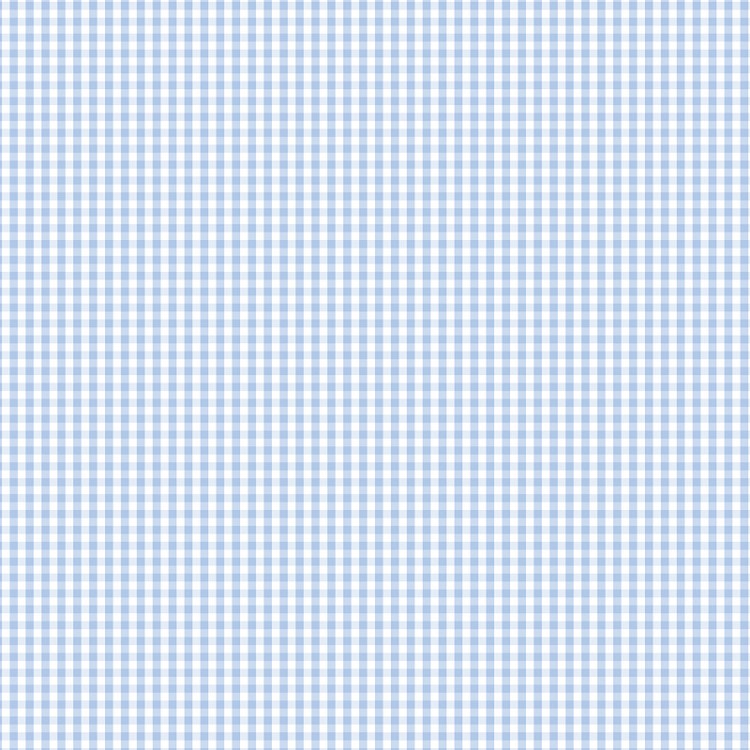 Devonstone Collections 1/8" Gingham Partly Cloudy