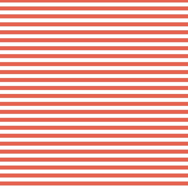 Devonstone Collections 1/4" Stripe Georgia
