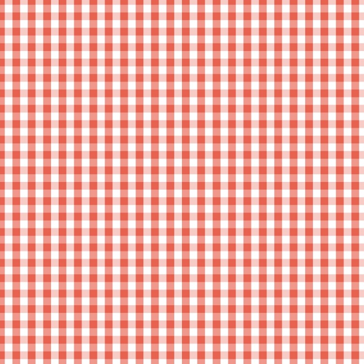 Devonstone Collections 1/4" Gingham Georgia