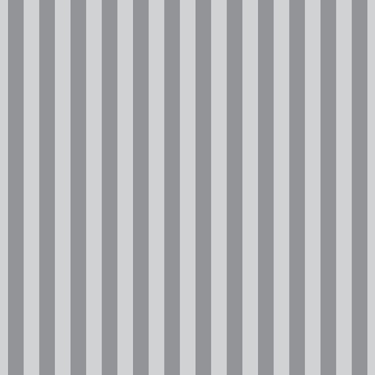 Freespirit Fabrics Tula Pink Graywork Tent Stripe Fog